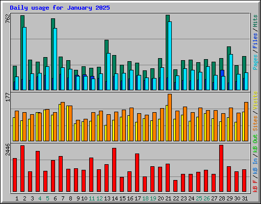 Daily usage for January 2025