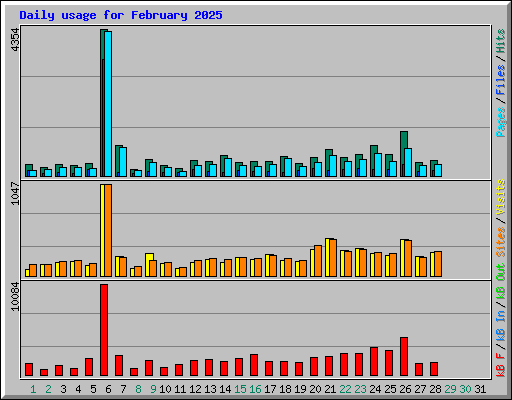 Daily usage for February 2025