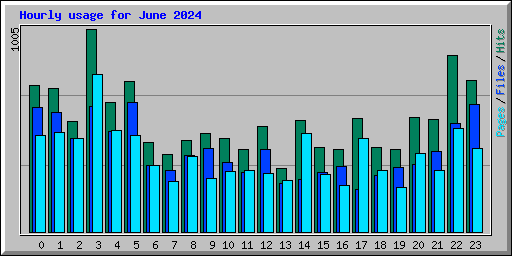 Hourly usage for June 2024