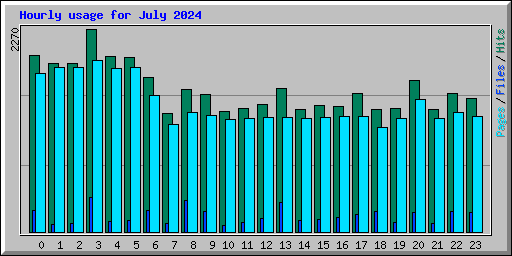 Hourly usage for July 2024