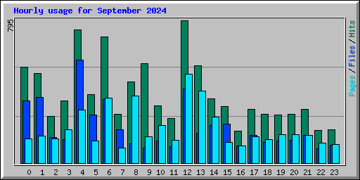 Hourly usage for September 2024