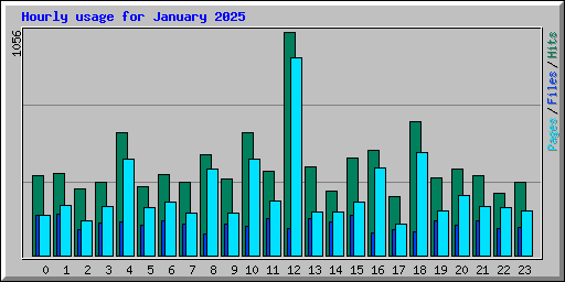 Hourly usage for January 2025