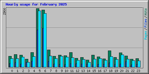 Hourly usage for February 2025