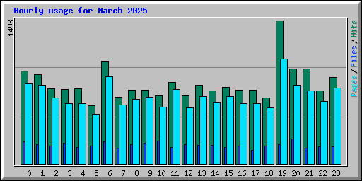 Hourly usage for March 2025