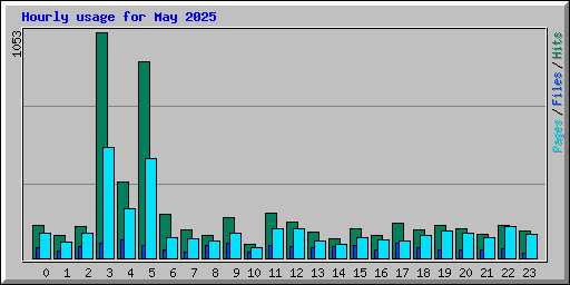 Hourly usage for May 2025