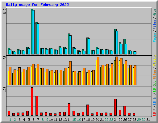 Daily usage for February 2025