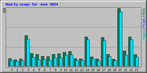 Hourly usage for June 2024