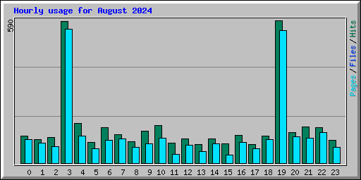 Hourly usage for August 2024