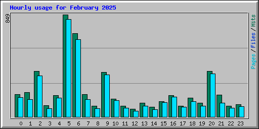 Hourly usage for February 2025