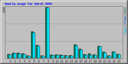 Hourly usage for March 2025